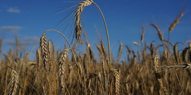 市場觀察-俄羅斯入侵烏克蘭的投資方向