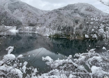 2023年12月名古屋-高山-富山遊記。面包超人公園 aquaignis酒店採草莓LEGO樂園