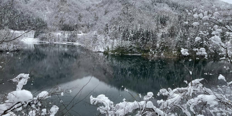 2023年12月名古屋-高山-富山遊記。面包超人公園 aquaignis酒店採草莓LEGO樂園